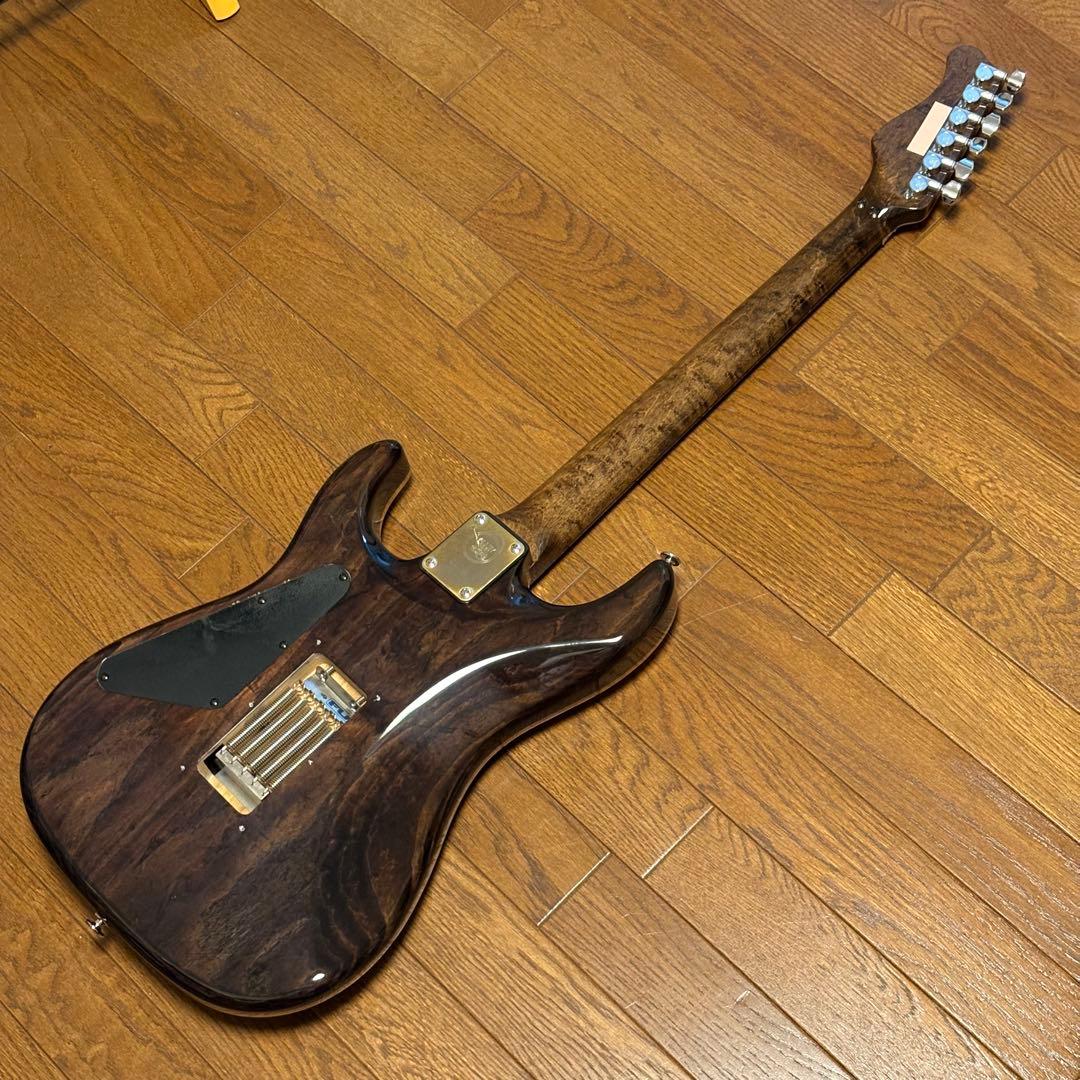 ギター Valley Arts Japan Custom Pro SRE270