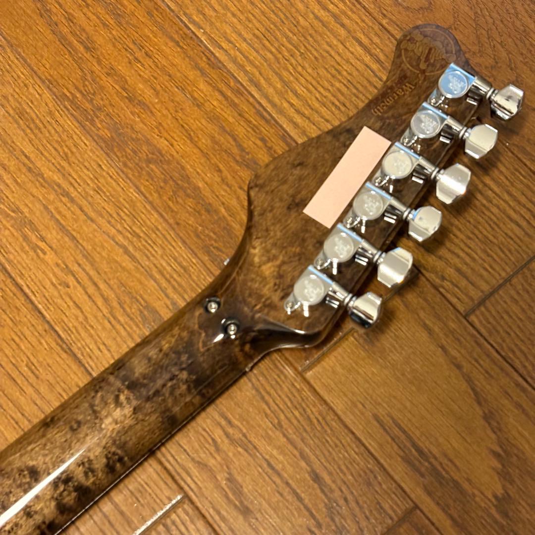 ギター Valley Arts Japan Custom Pro SRE270