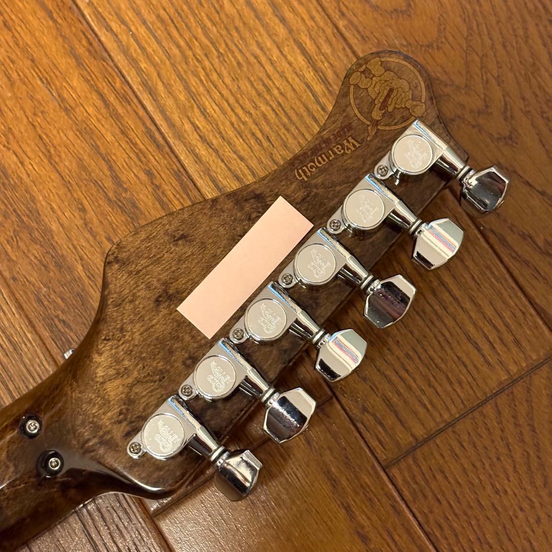 ギター Valley Arts Japan Custom Pro SRE270