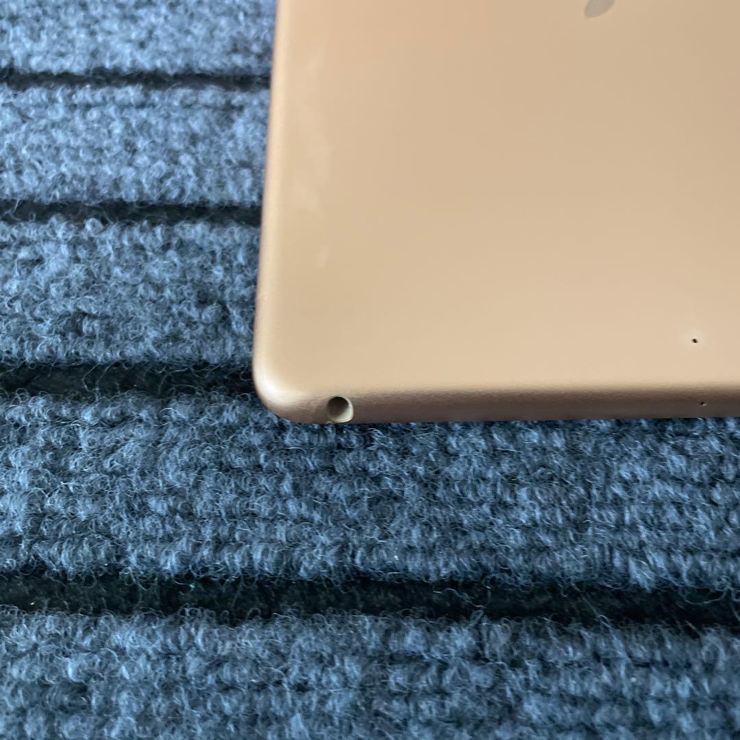 193 iPad mini5 5世代 64GB Wi-Fi ゴールド