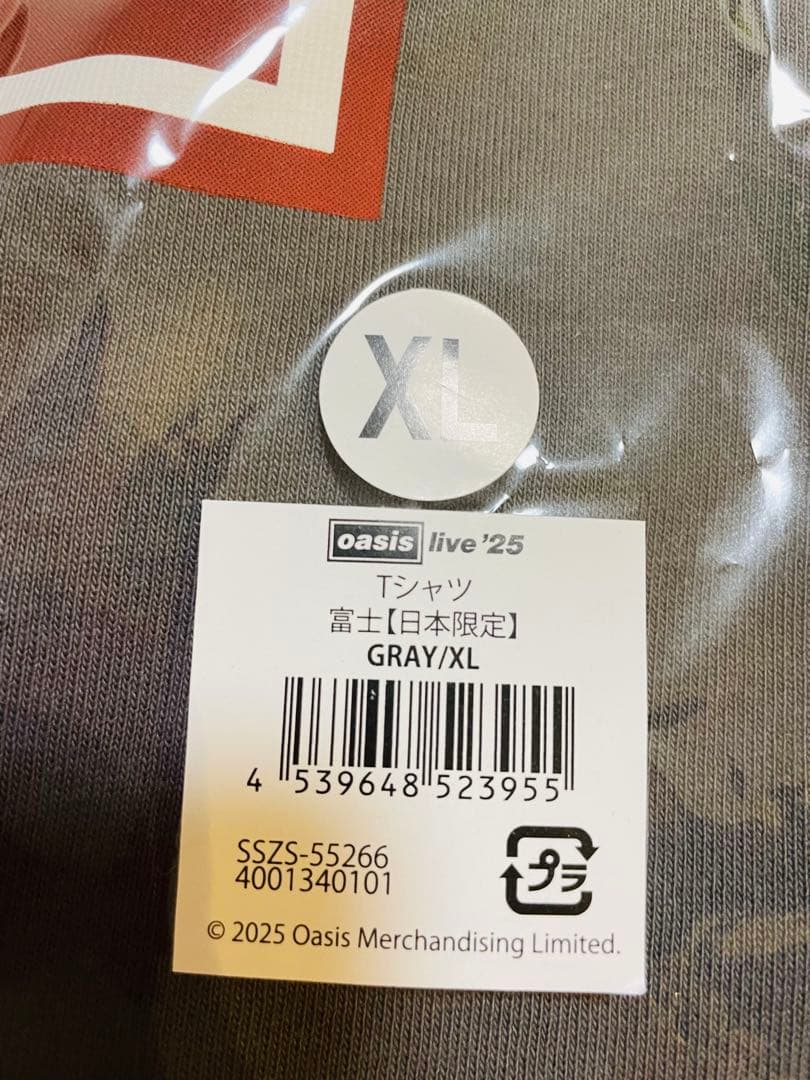 oasis live '25 グレー XL Tシャツ 富士 日本限定 湯呑 新品