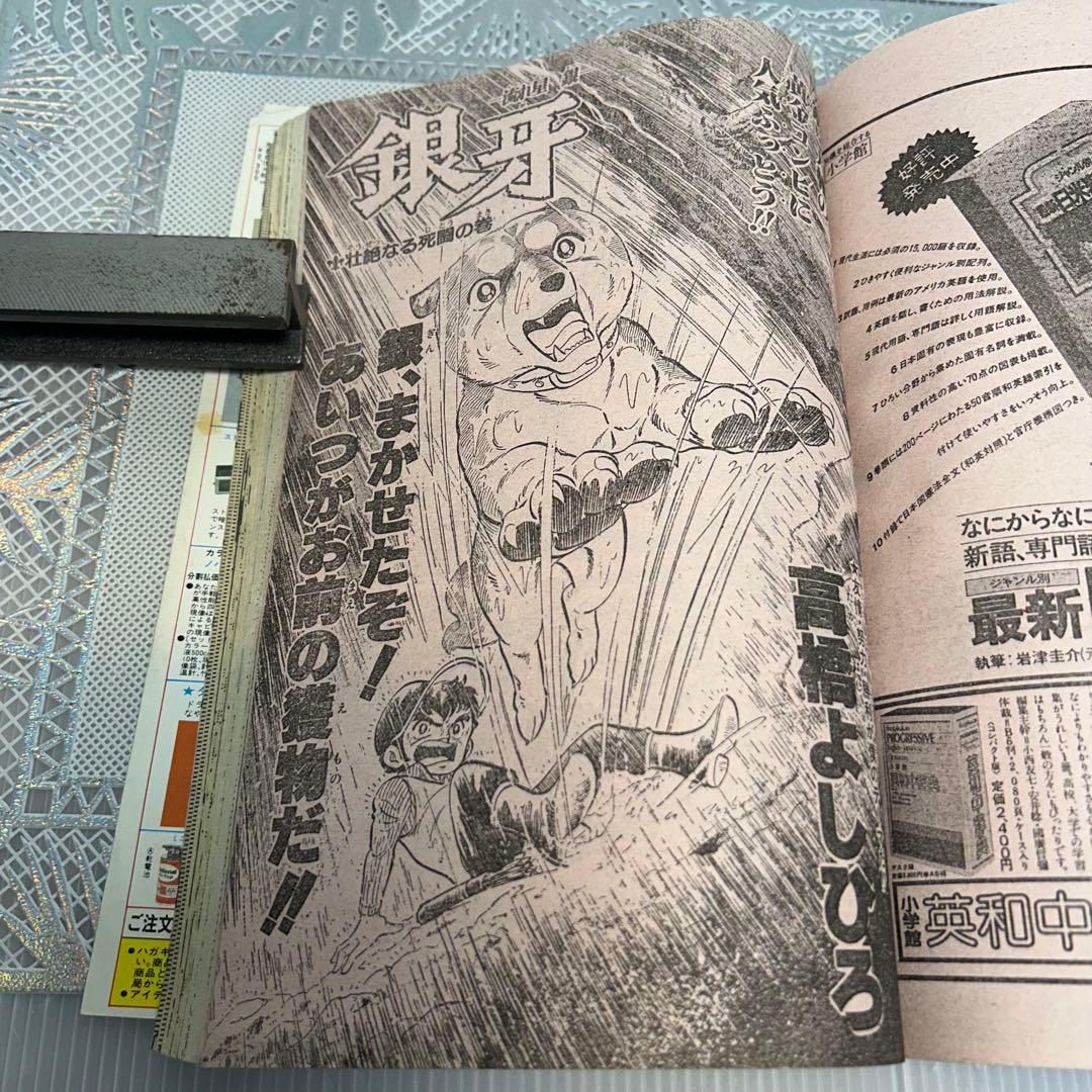 週刊少年ジャンプ 1984年4月9日　鳥山明　ドクタースランプ　とりやまあきら