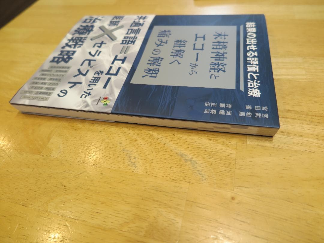 結果の出せる評価と治療　ー末梢神経とエコーから紐解く痛みの解釈ー