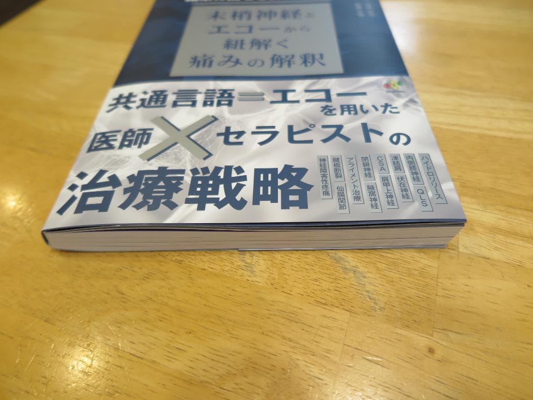 結果の出せる評価と治療　ー末梢神経とエコーから紐解く痛みの解釈ー