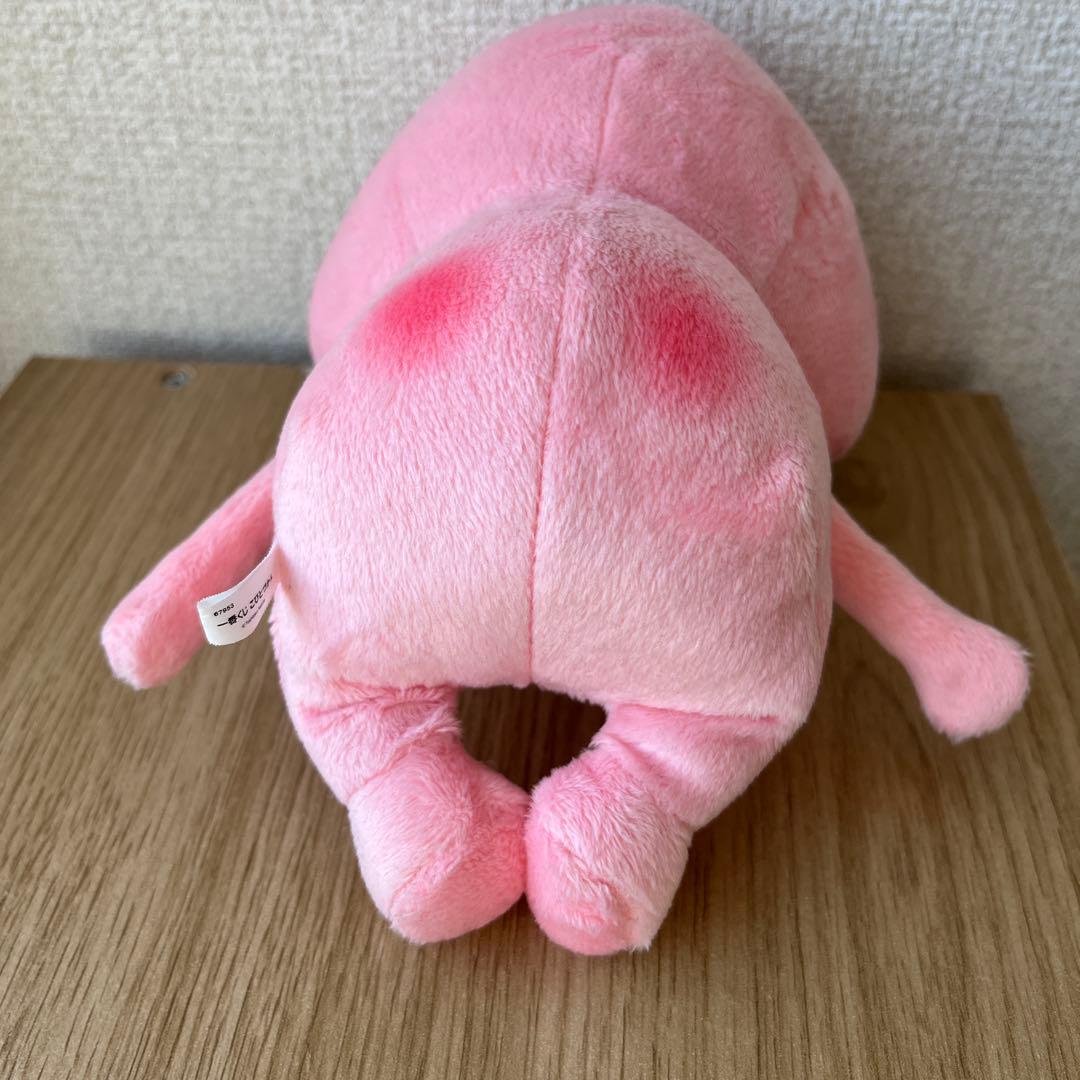 こびとづかん 一番くじ　A賞