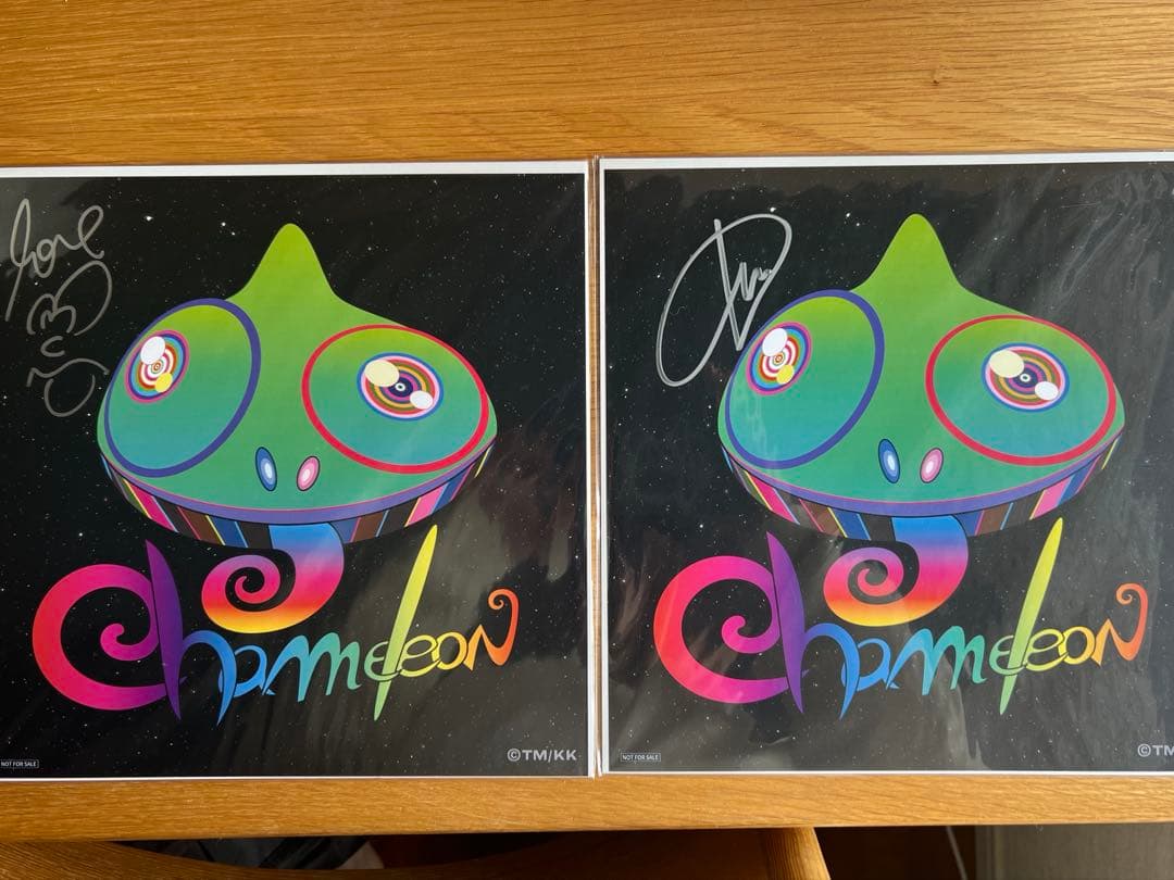 セカオワ chameleon サイン入りメガジャケット