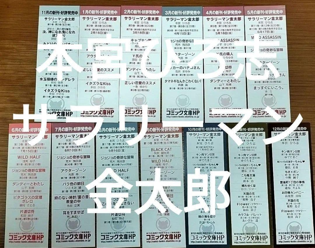 栞集英社文庫本宮ひろ志サラリーマン金太郎天地を喰らう赤龍王初版限定しおり