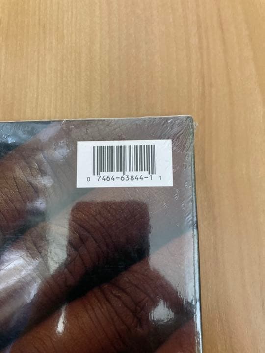 raekwon 2nd （wu-tang clan）US初回プレス