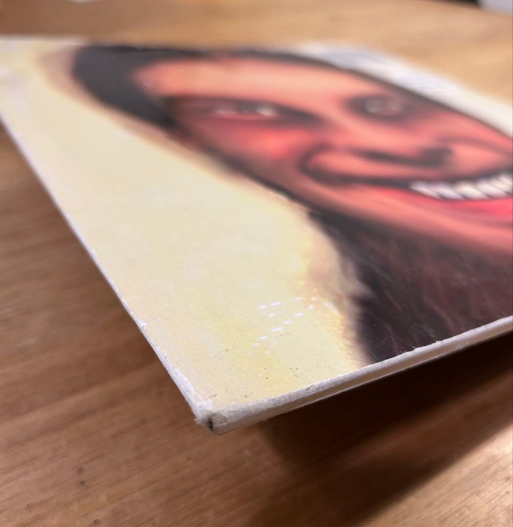 Aphex Twin ‎/…I Care Because You Do アナログ
