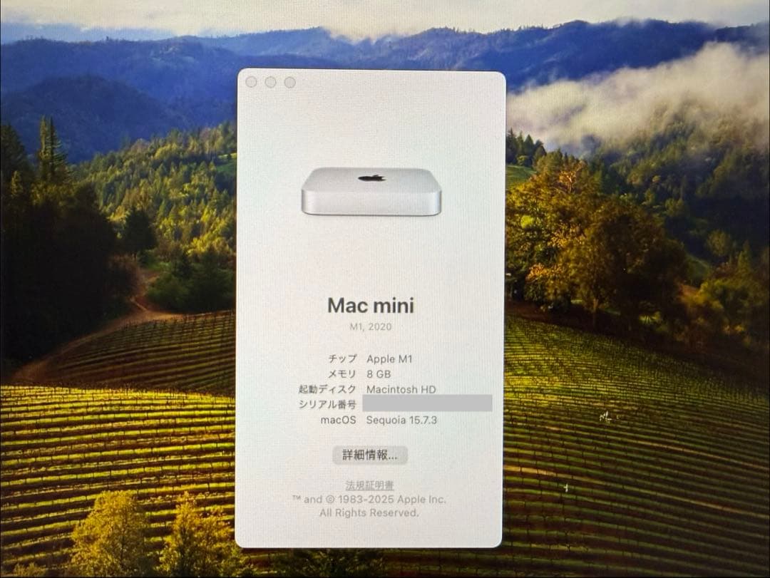 Apple Mac mini m1 メモリ8GB ストレージ256gb