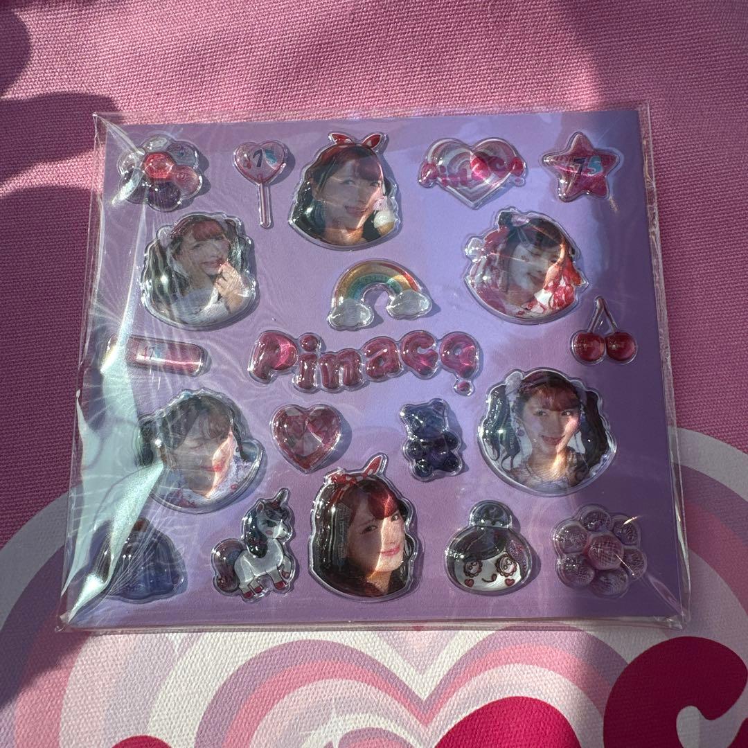 pinaco 原ハラセット
