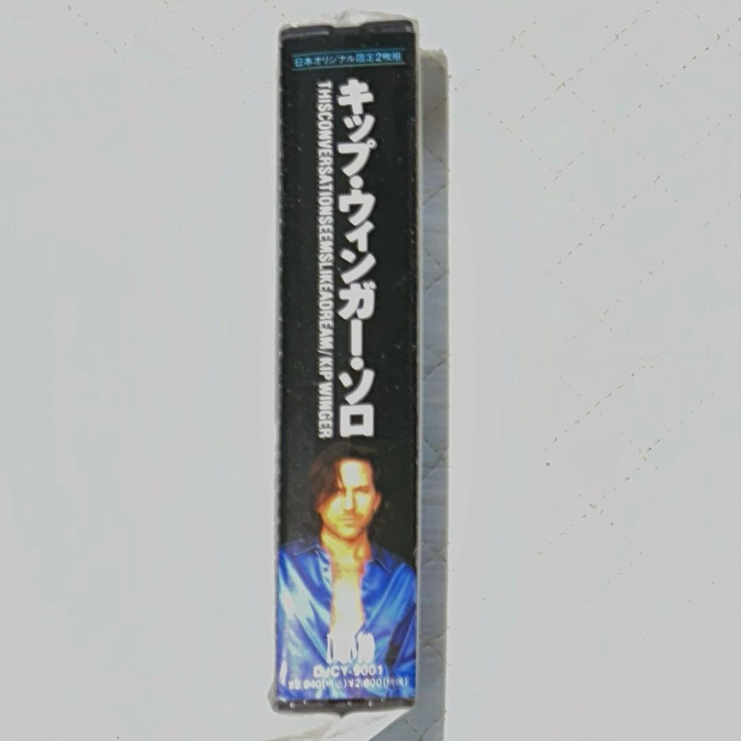 国内限定2CD！KIP WINGER / キップ・ウィンガー / ソロ