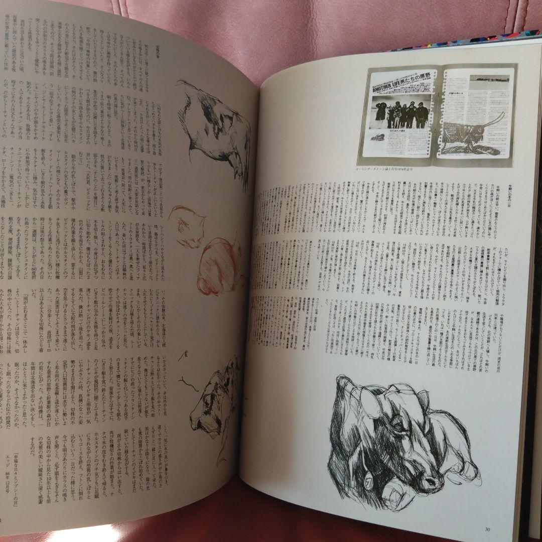 SO 大竹 伸朗の仕事 1955-91