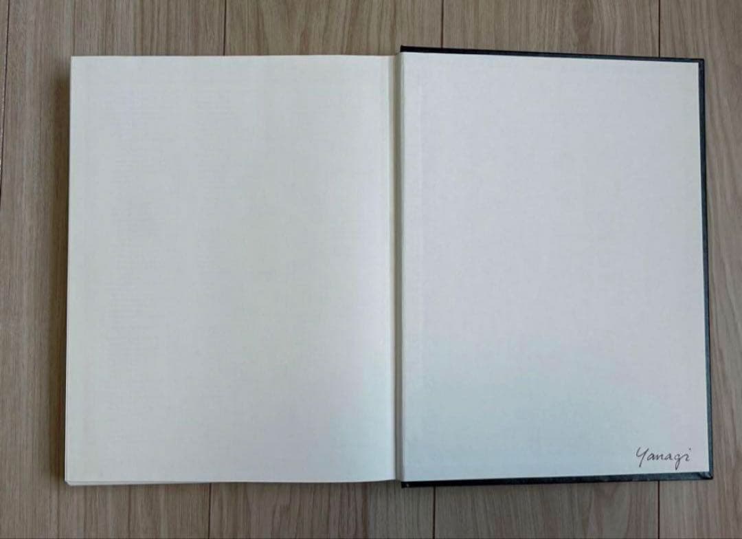 THE HAND Second Edition 医学書　洋書　外科