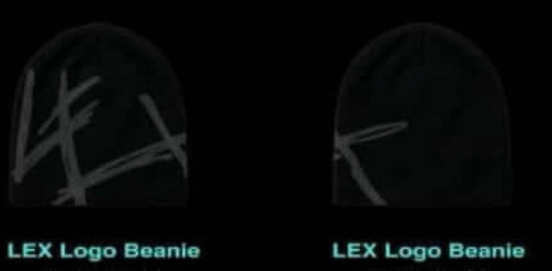 に*ょ様 LEX LOGO beanie ビーニー zepp 限定 帽子 お値下