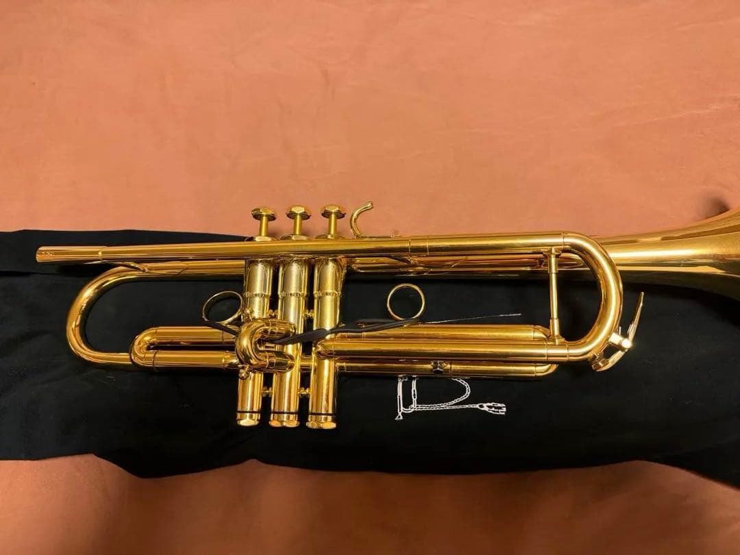 Schilke S32GP 4万代　中古 美品