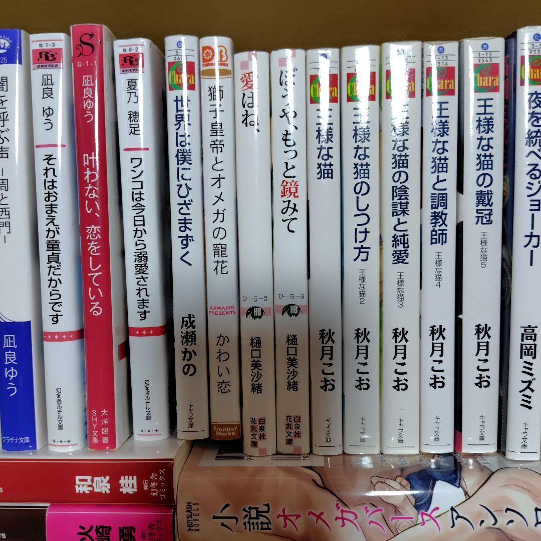 夜明けには優しいキスを　凪良ゆう　夜光花　樋口美沙緒　榎田尤利　他　57冊セット