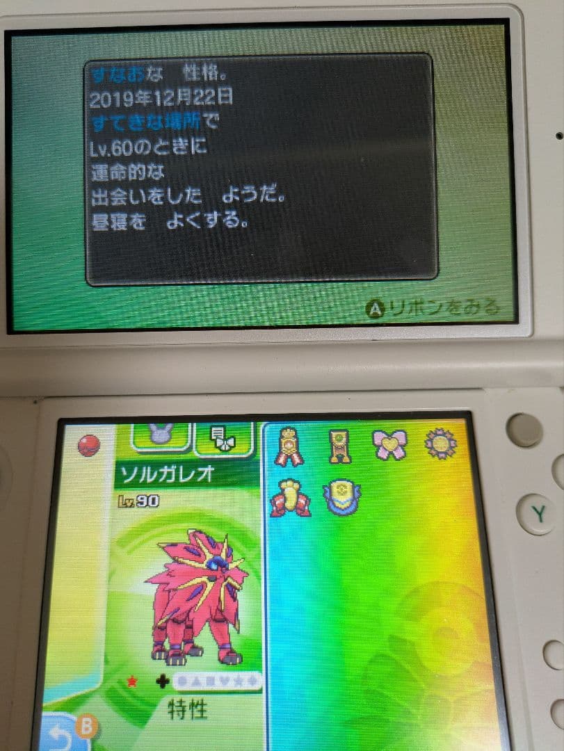 その他 bamboo