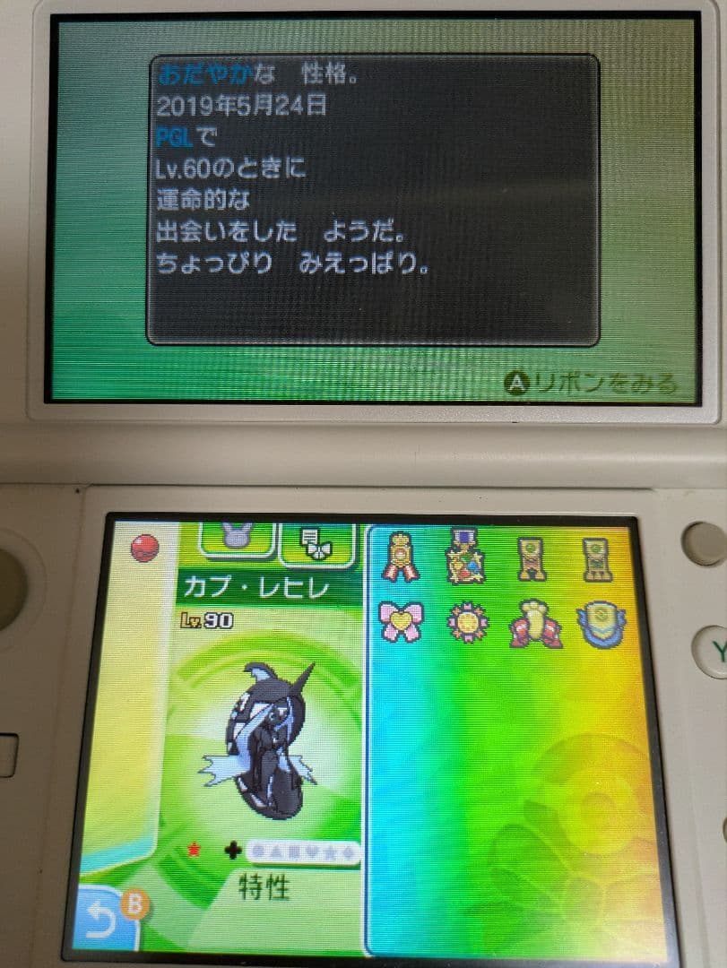 その他 bamboo