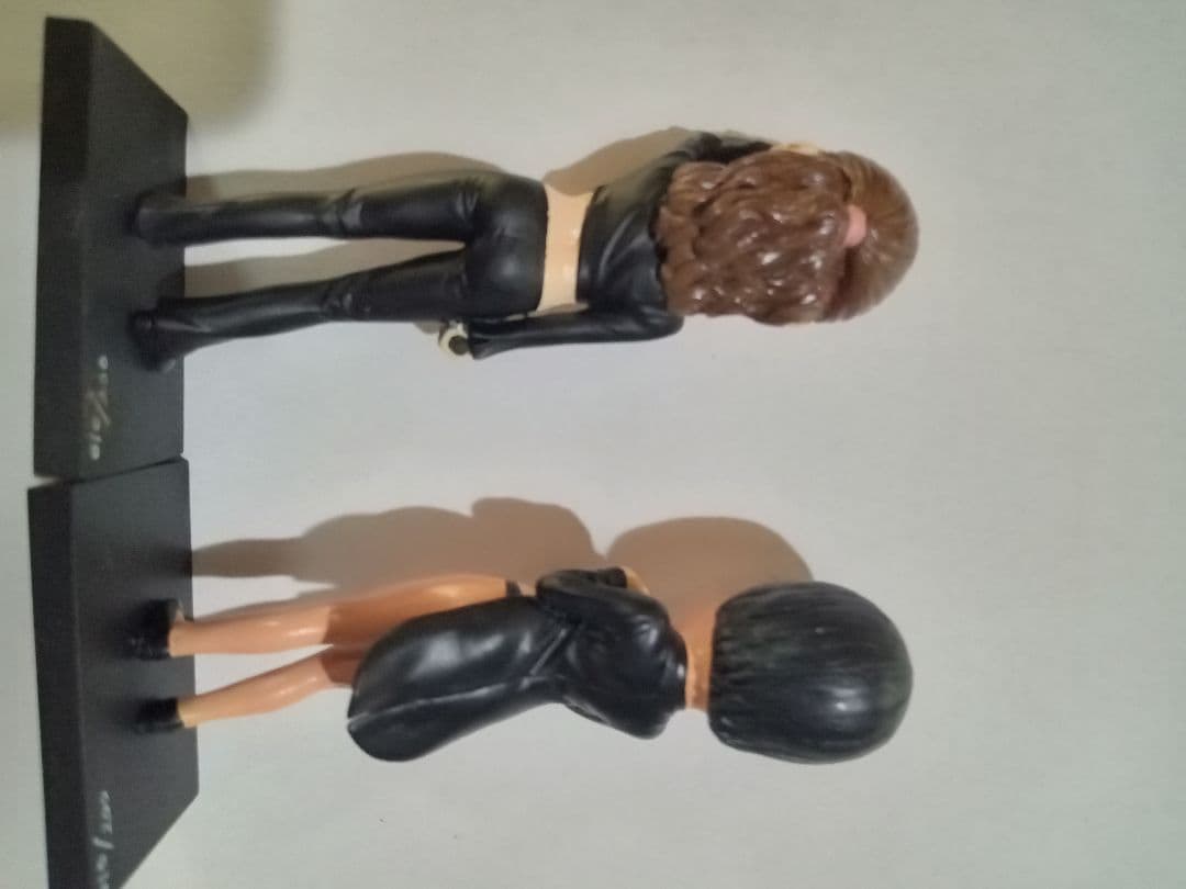 t.A.T.u. TRUTH. DVDと Figures No.88