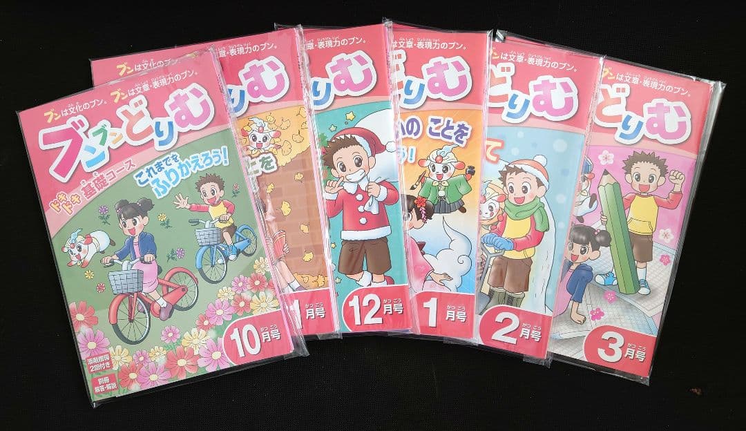 ブンブンどりむ　ドキドキ基礎コース 全12冊セット