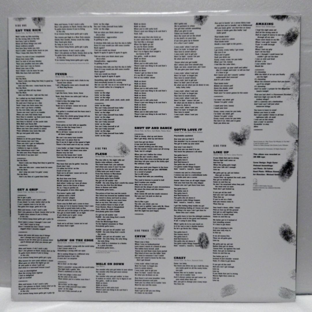 AEROSMITH / GET A GRIP (180g重量盤2LP)