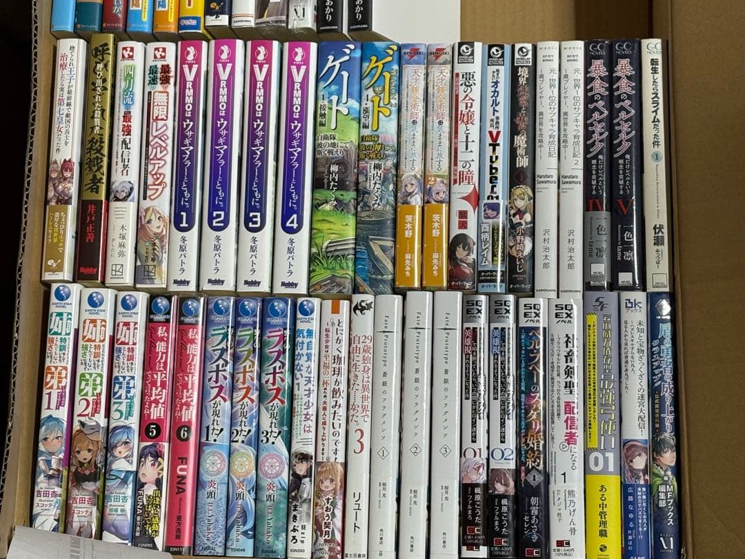 ライトノベルまとめ売り 約50冊セットになります。