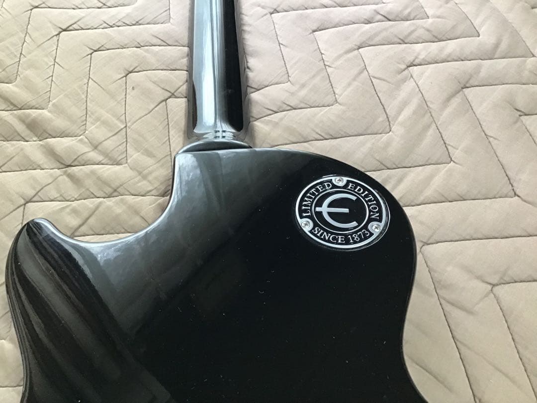Epiphone Les Paul studio ソフトケース付