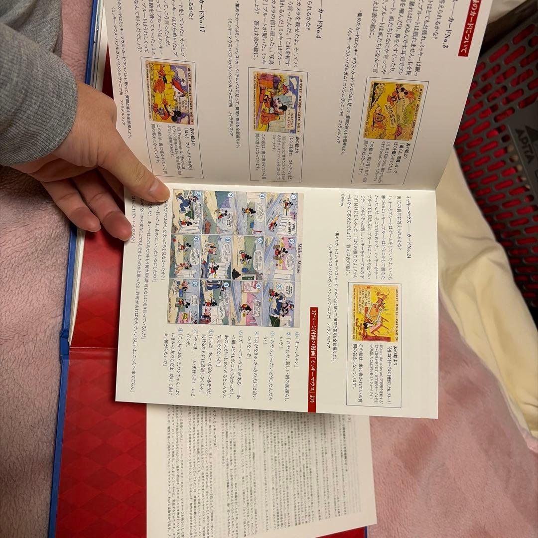 ディズニーの宝石箱　ロバート•タイマン 日本語版　完全限定生産 CD付き