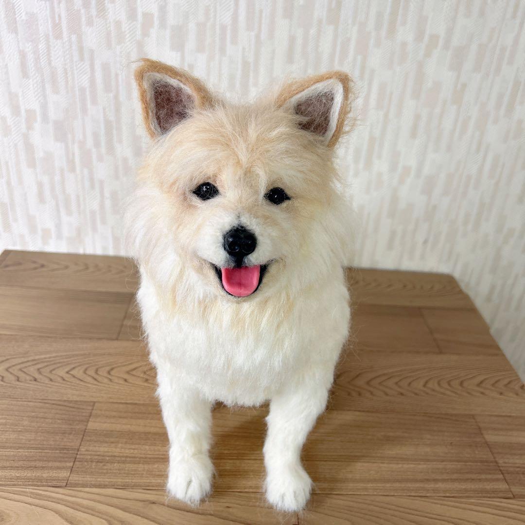 みかん様　オーダー専用　羊毛フェルト　犬　柴犬　マルチーズ　ミックス