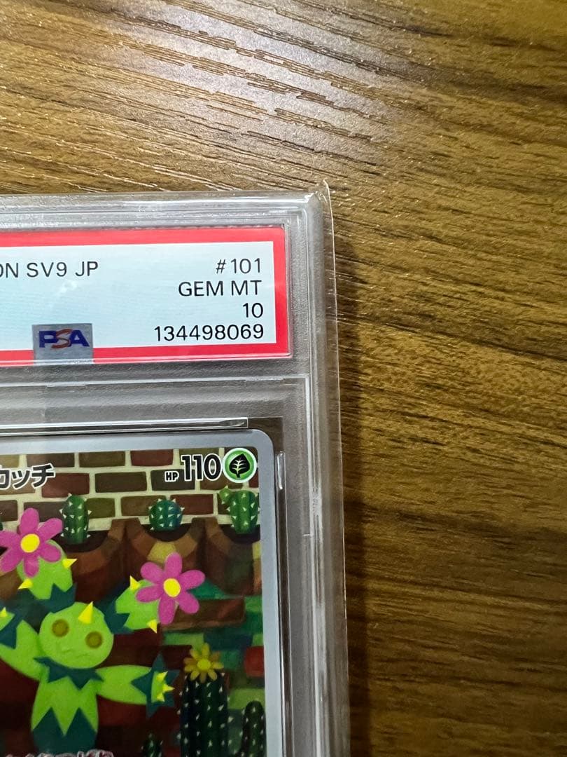 マラカッチ ar psa10