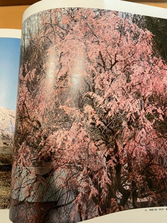 写真集　日本の四季　一巻二巻