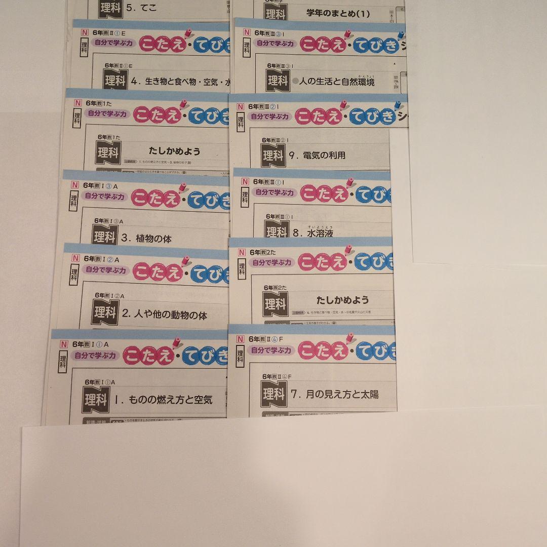 ぶんけい　カラーテスト　小6 理科　教育出版　6年生 Nぶんけい