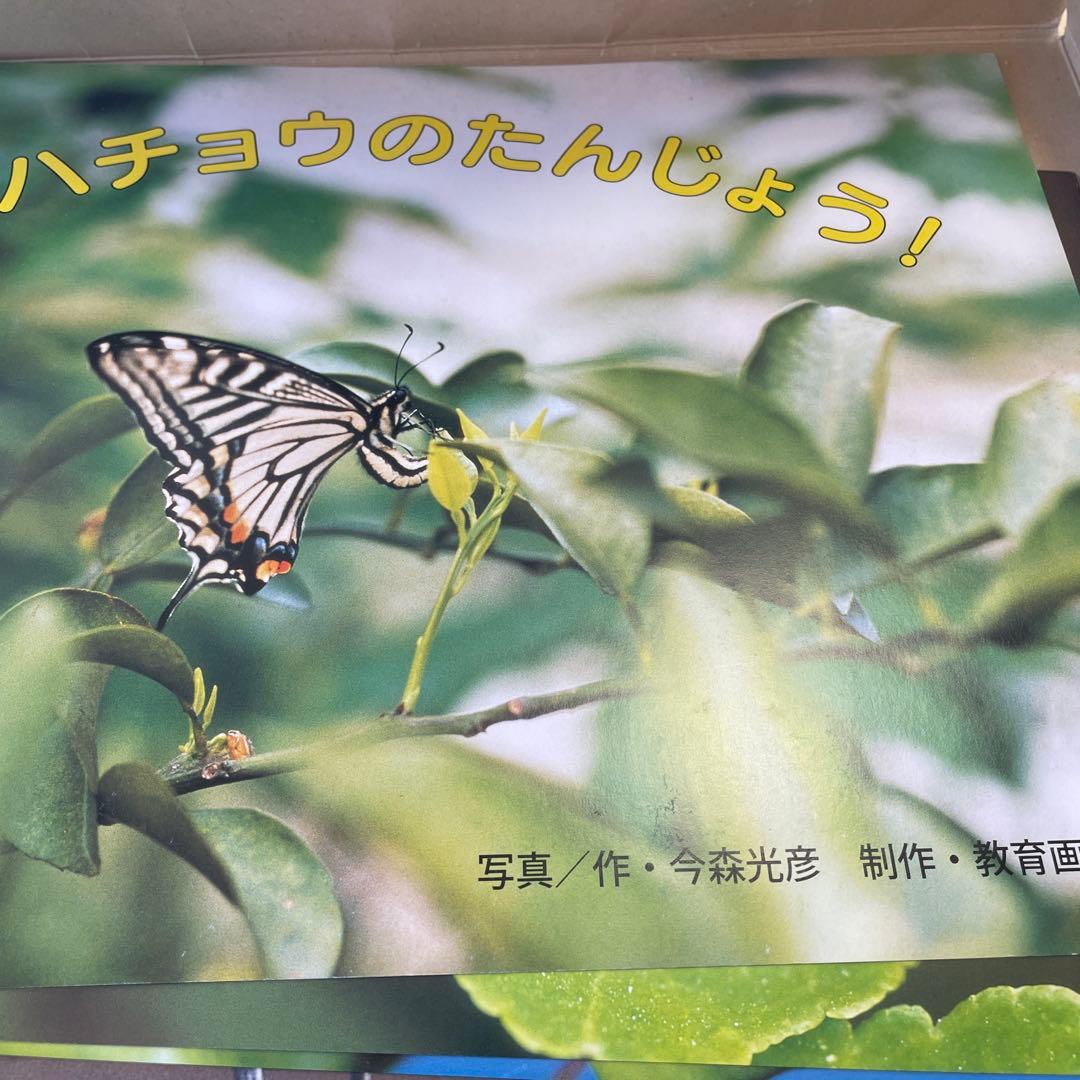 いきもの　教育画劇の紙芝居　10冊