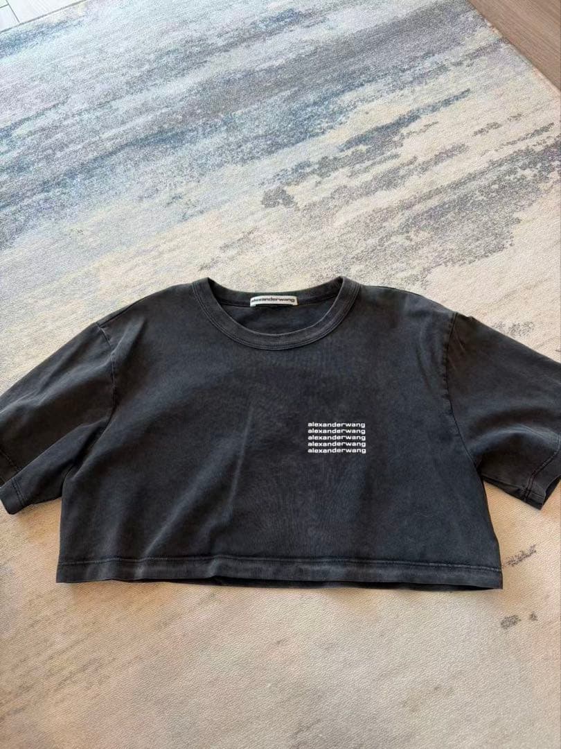 タグ付きAlexander wangクロップドTシャツ ブラック ストライプ