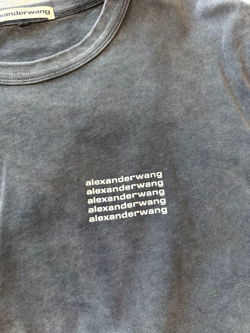 タグ付きAlexander wangクロップドTシャツ ブラック ストライプ