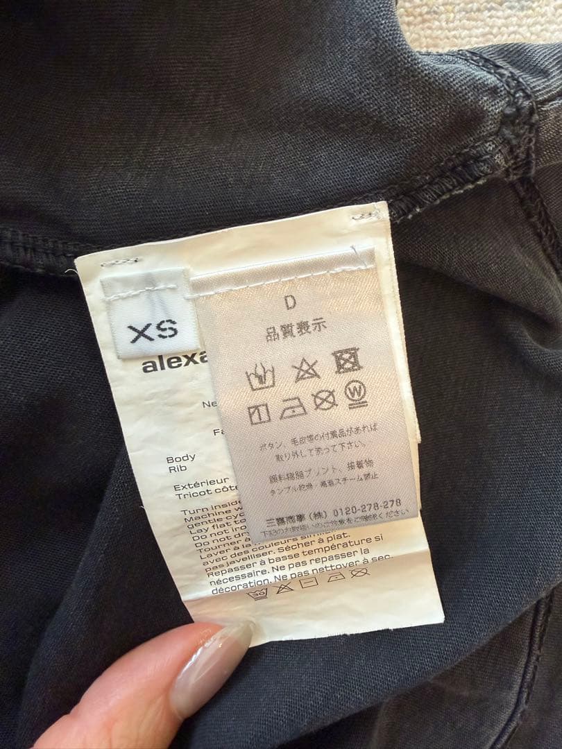 タグ付きAlexander wangクロップドTシャツ ブラック ストライプ