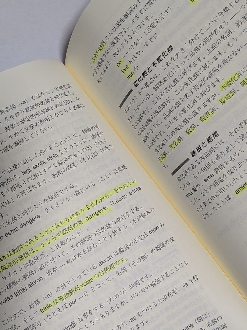 【絶版・希少】『辞書がなくても学べるエスペラント語入門』中村陽宇（書込有）