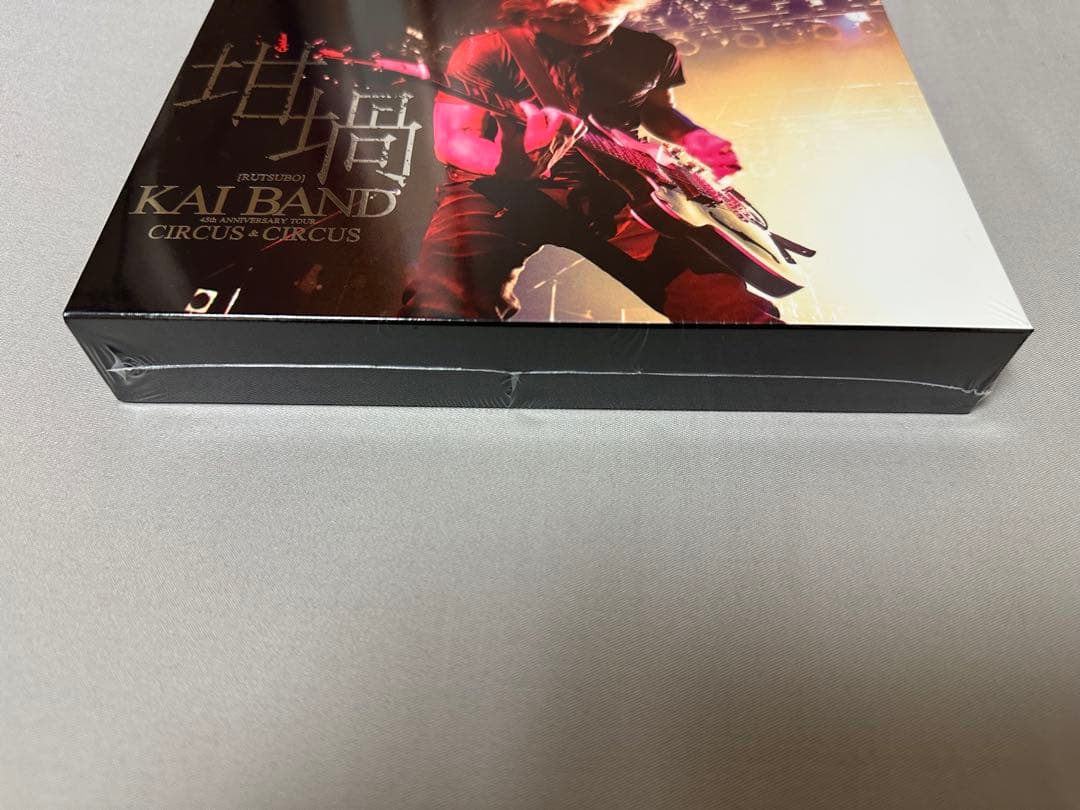 甲斐バンド CIRCUS ＆ CIRCUS 2019 坩堝 DVD CD