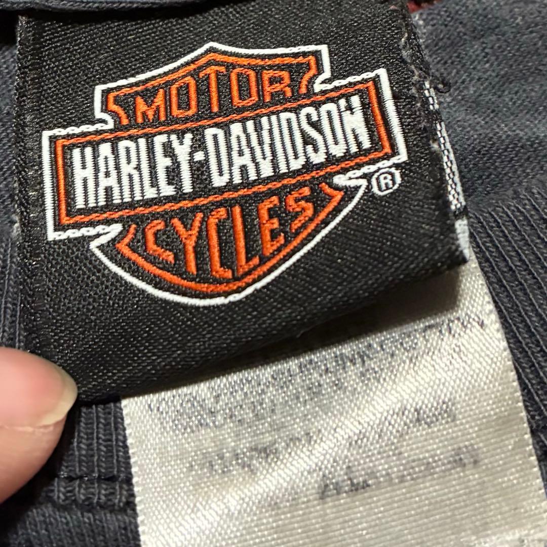 襤褸 Harley-Davidson サンダー tシャツ ブルー　フレイム XL