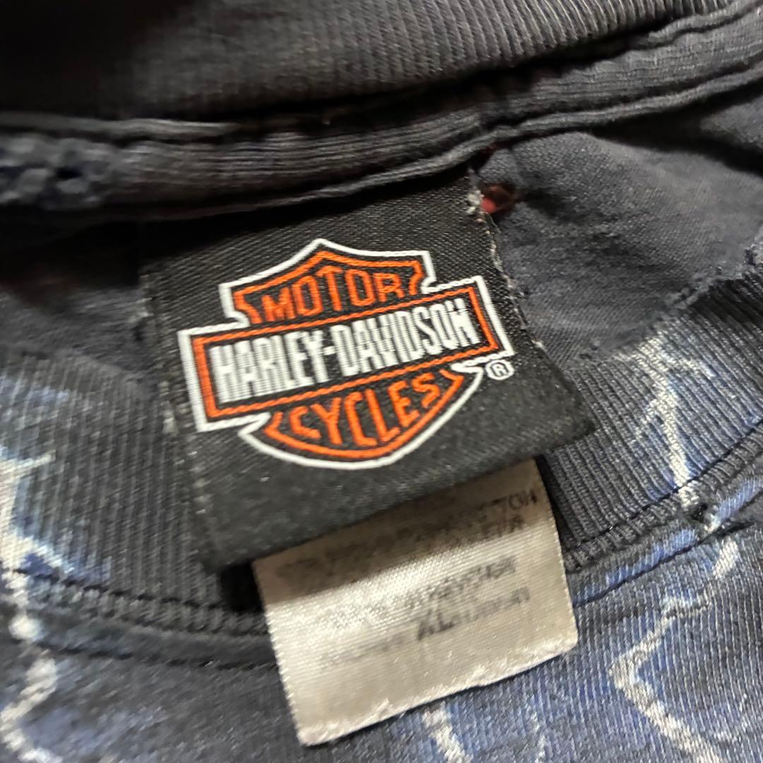 襤褸 Harley-Davidson サンダー tシャツ ブルー　フレイム XL