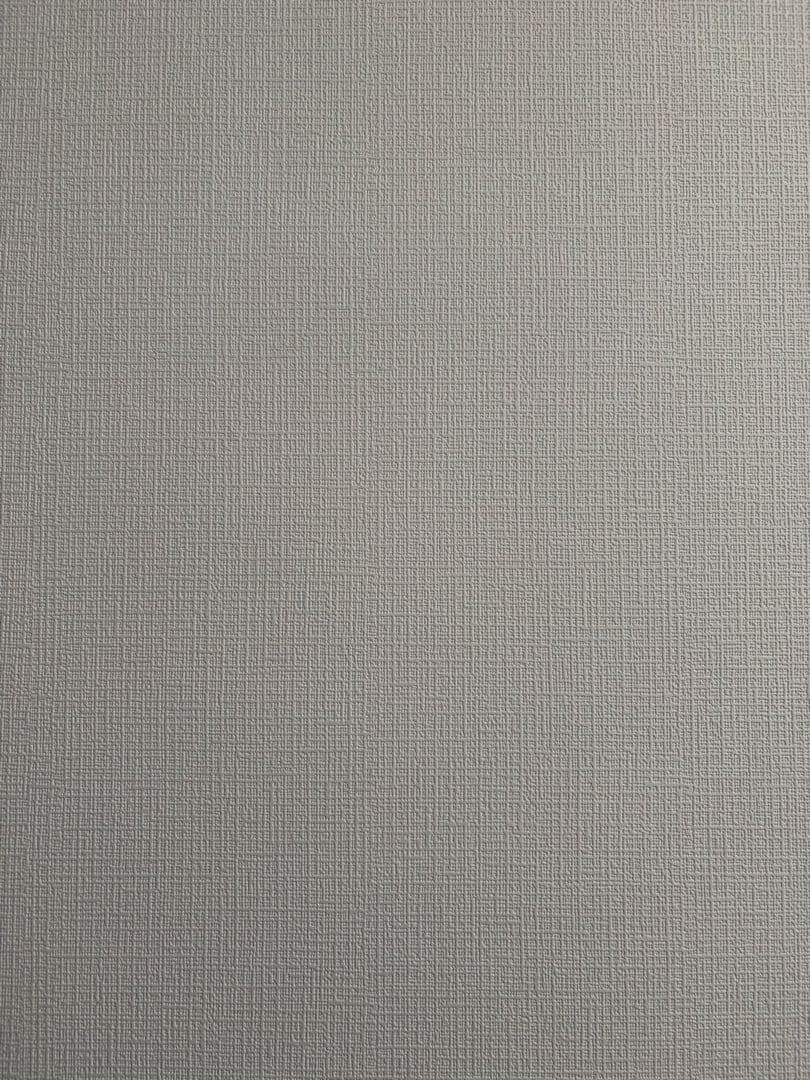 【完動品】iPad pro 12.9 第3世代Wi-Fi + Cellular