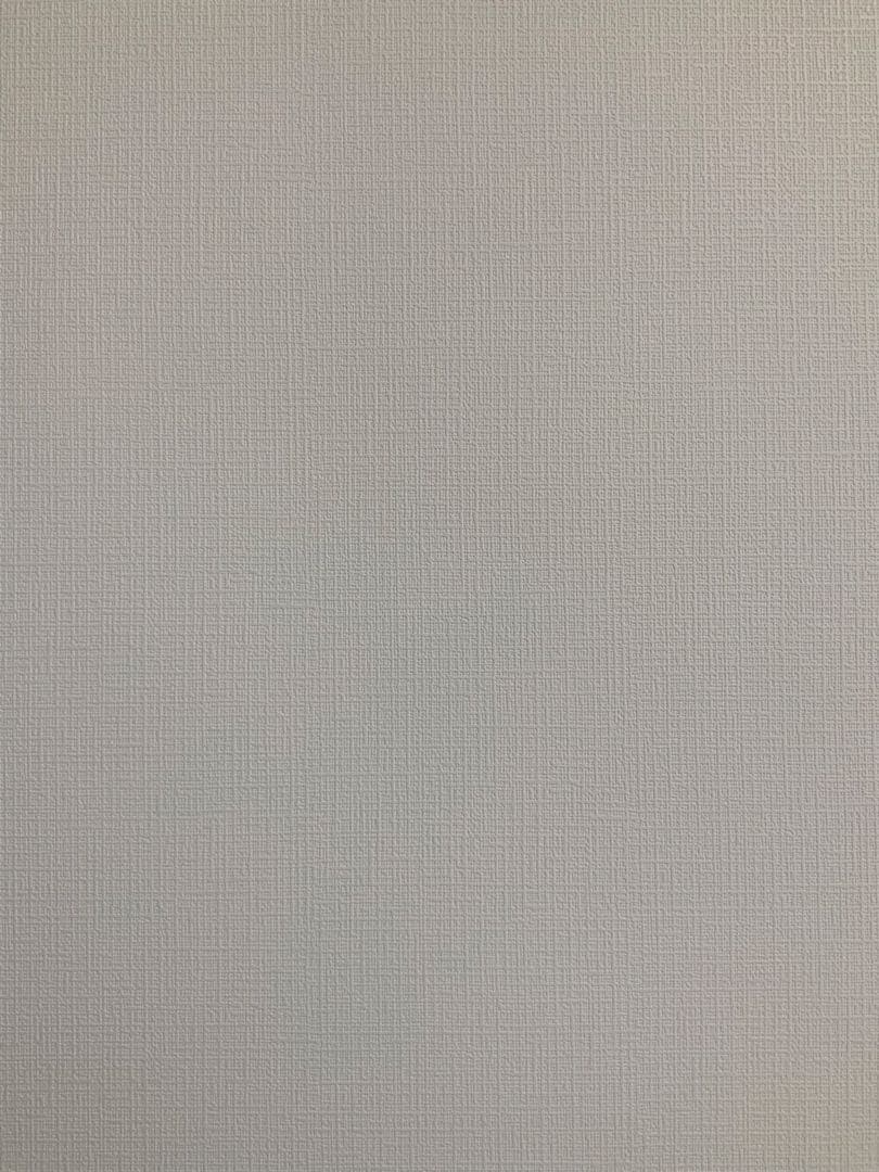 【完動品】iPad pro 12.9 第3世代Wi-Fi + Cellular