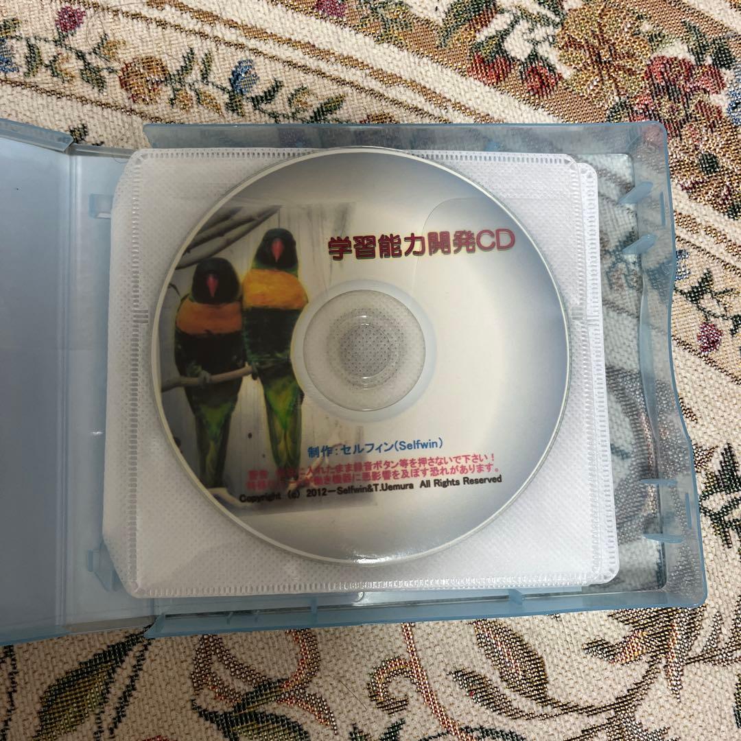 中学受験超高速記憶&速読力養成DVD 脳プレス！