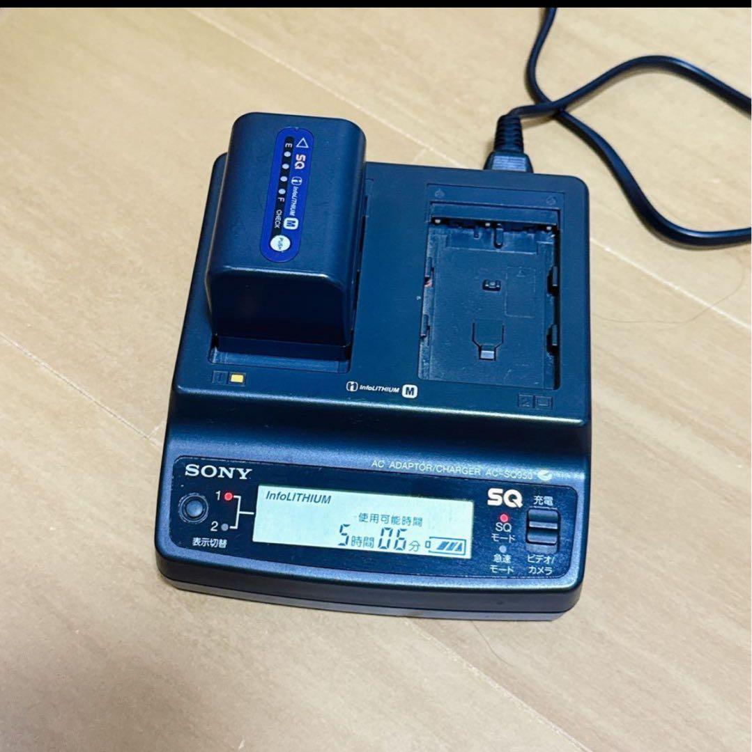 2128【希少品】SONY DCR-TRV30 Mini DV ナイトショット
