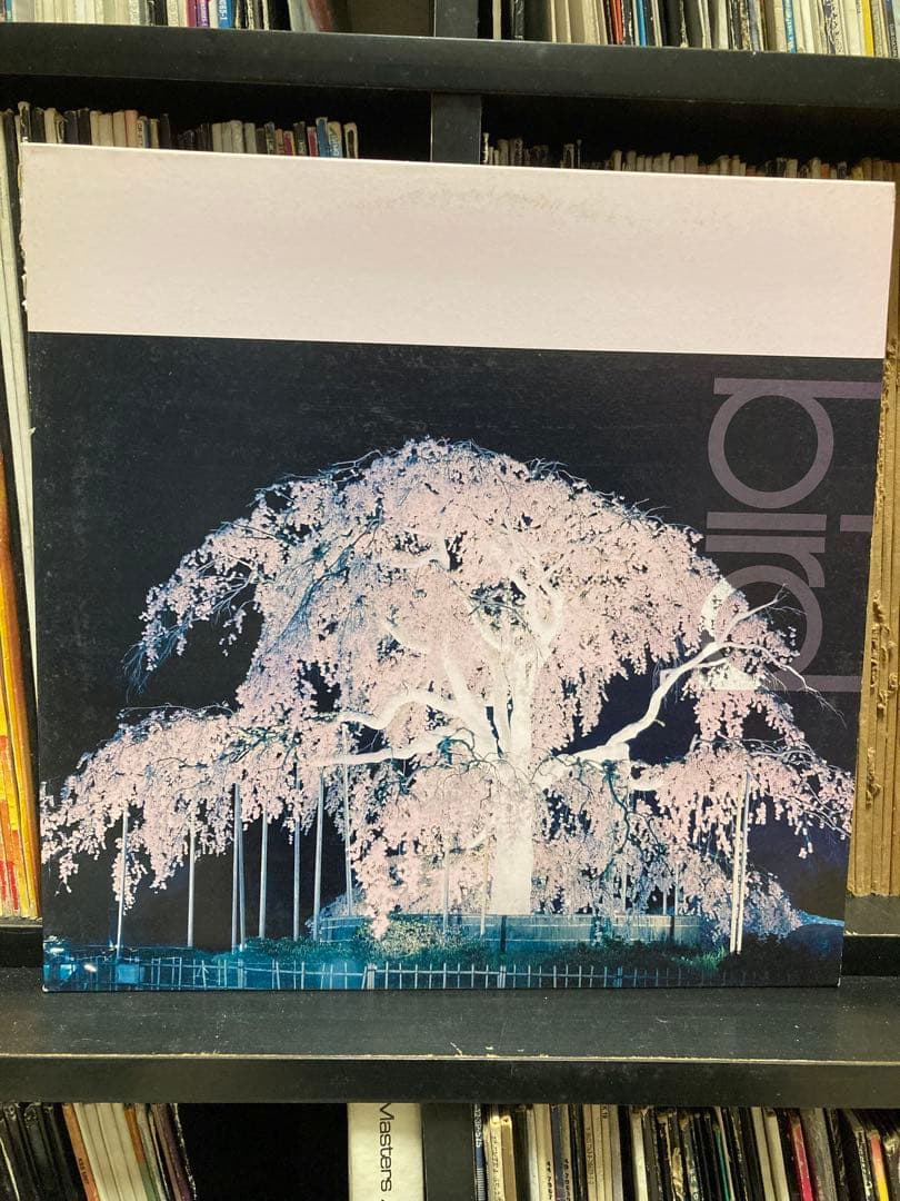 Bird レコード 7枚セット 大沢伸一 DEV LARGE SUIKEN