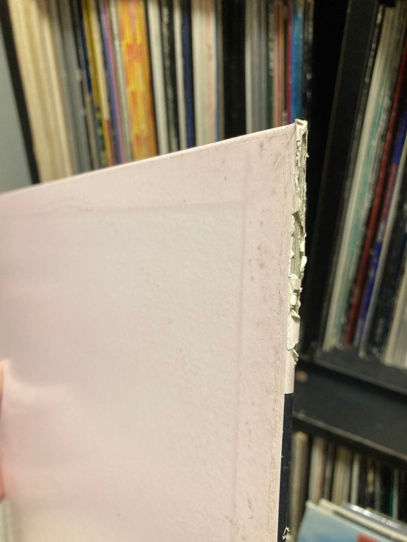 Bird レコード 7枚セット 大沢伸一 DEV LARGE SUIKEN