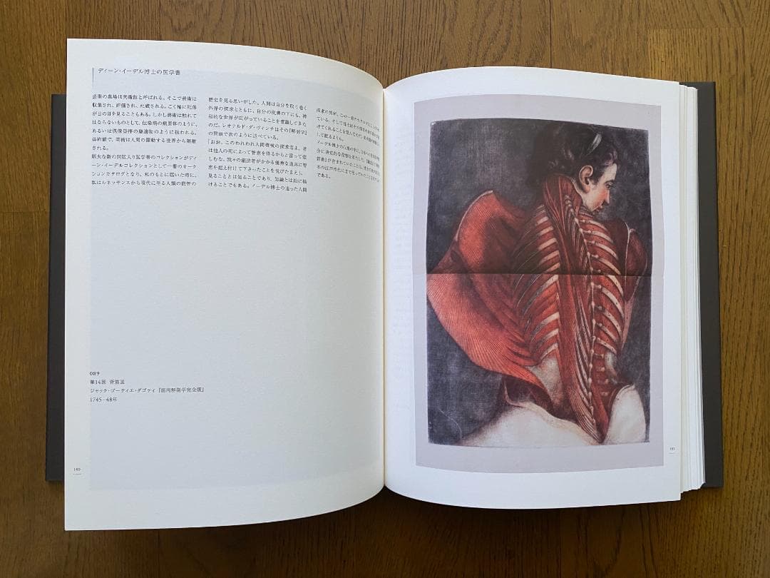 6*岁様 杉本博司「歴史の歴史 」直筆サイン入り 美品