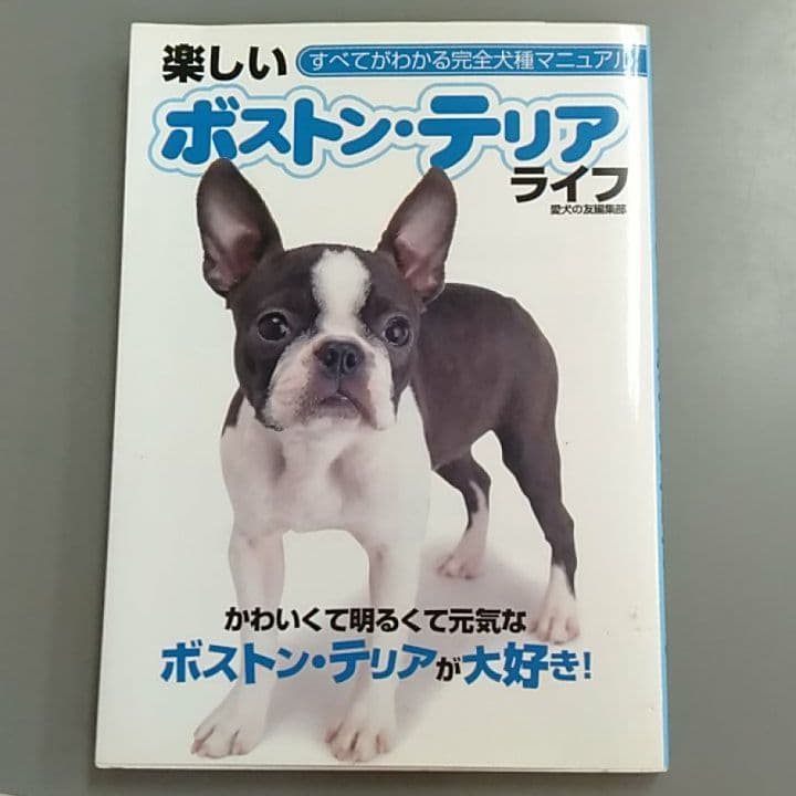 楽しいボストン・テリアライフ