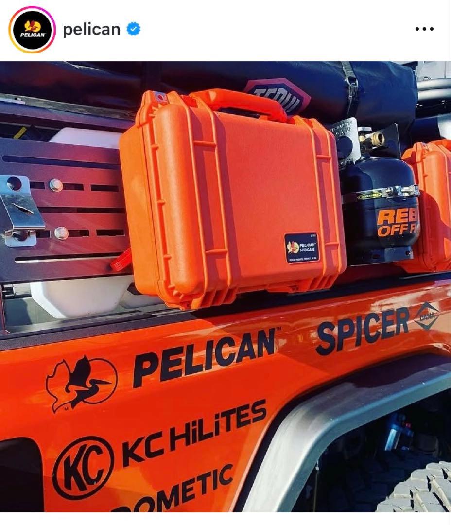 【PELICAN】 1520 PROTECTOR CASE / BLACK